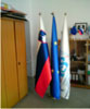 Reprezentativne zastave