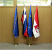 Reprezentativne zastave